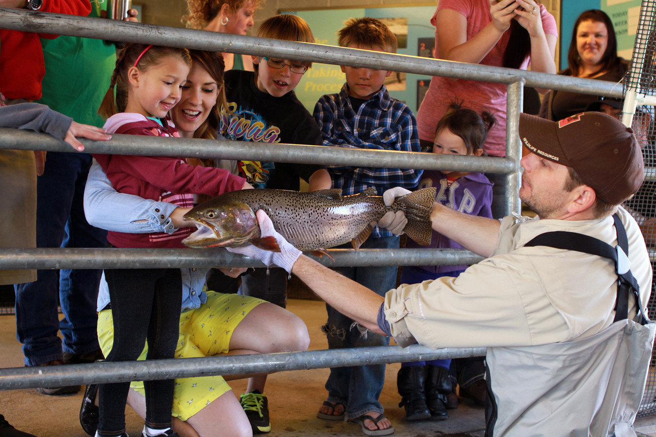Free cutthroat trout viewing party set for June 9