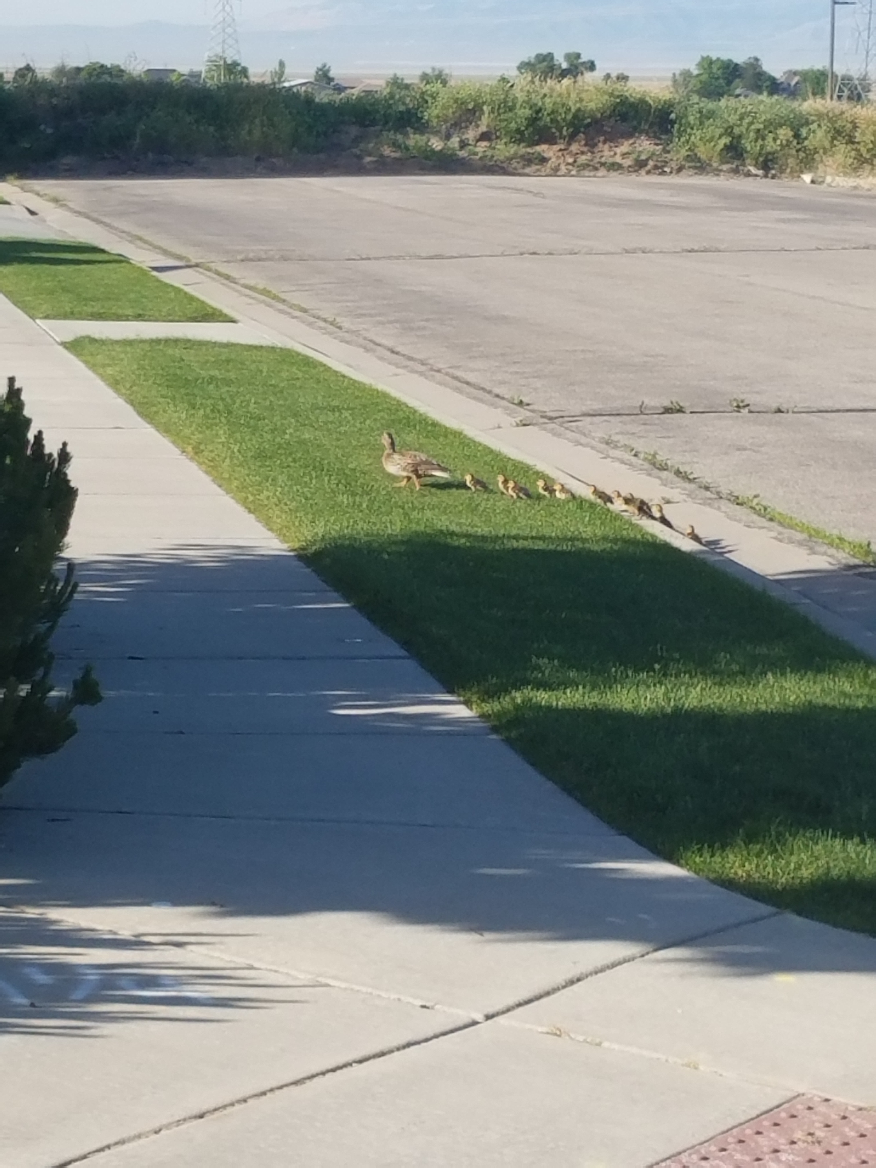 Photo: Jill Hart & Tonessa Andreason