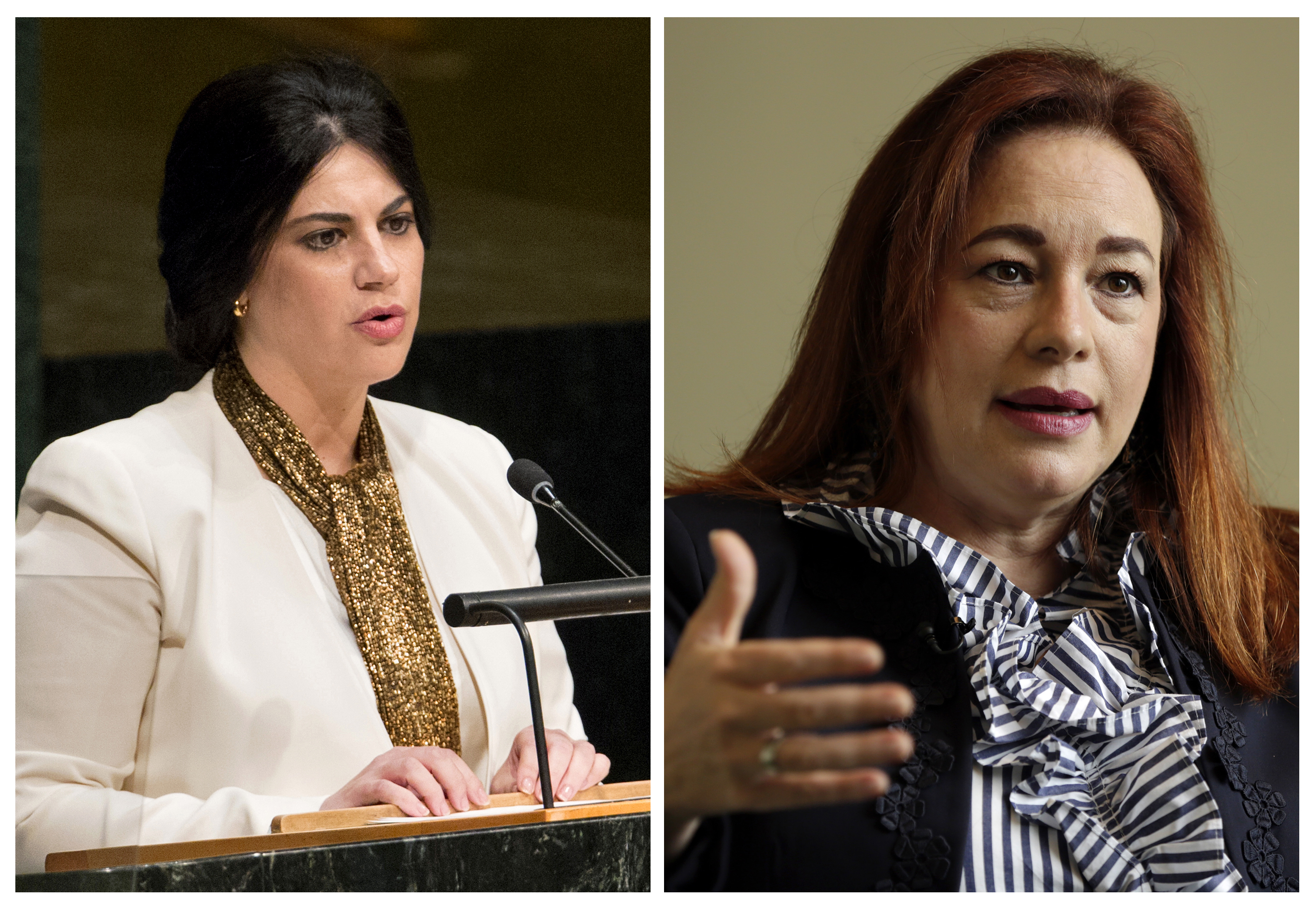 UN General Assembly elects Ecuador minister next president