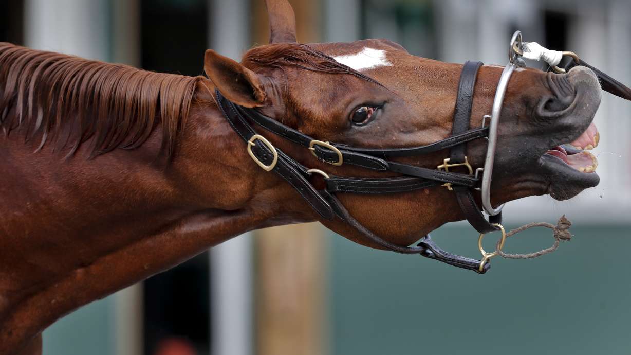 Hofburg has talent to upset Justify in the Belmont Stakes