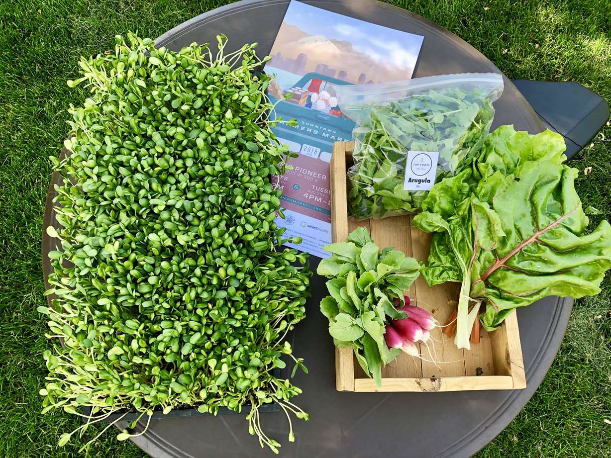 Top Crops SLC displays a sample of the produce it will sell at the Downtown Farmers Market during a press conference at Pioneer Park in Salt Lake City on Wednesday, June 6, 2018. The Downtown Farmers Market opens June 9 at Pioneer Park and will run every Saturday through October. (Photo: McKenna Park, KSL)