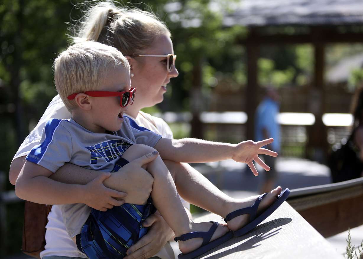 Keesha Williams and Max Williams watch a baby zebra at Utah's Hogle Zoo in Salt Lake City on Thursday, June 7, 2018. The zebra, which was born June 2, is the second Hartmann's mountain zebra born at the zoo in as many years and weighs about 74 pounds. (Photo: Kristin Murphy, KSL)