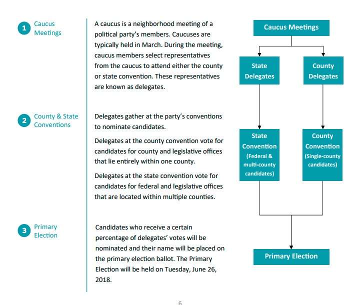 A breakdown of the candidate process from caucus to primary election. (Photo: Utah State Elections)