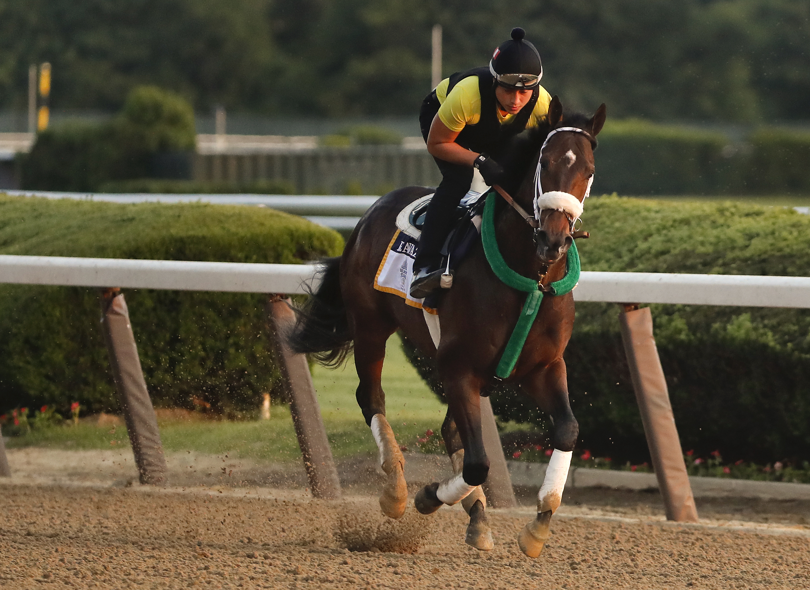 Justify ready for run at Triple Crown history in Belmont