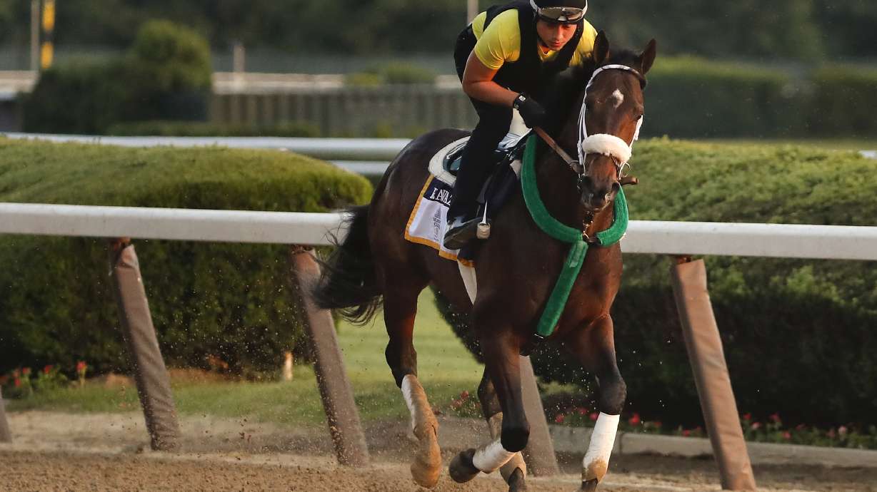 Justify ready for run at Triple Crown history in Belmont