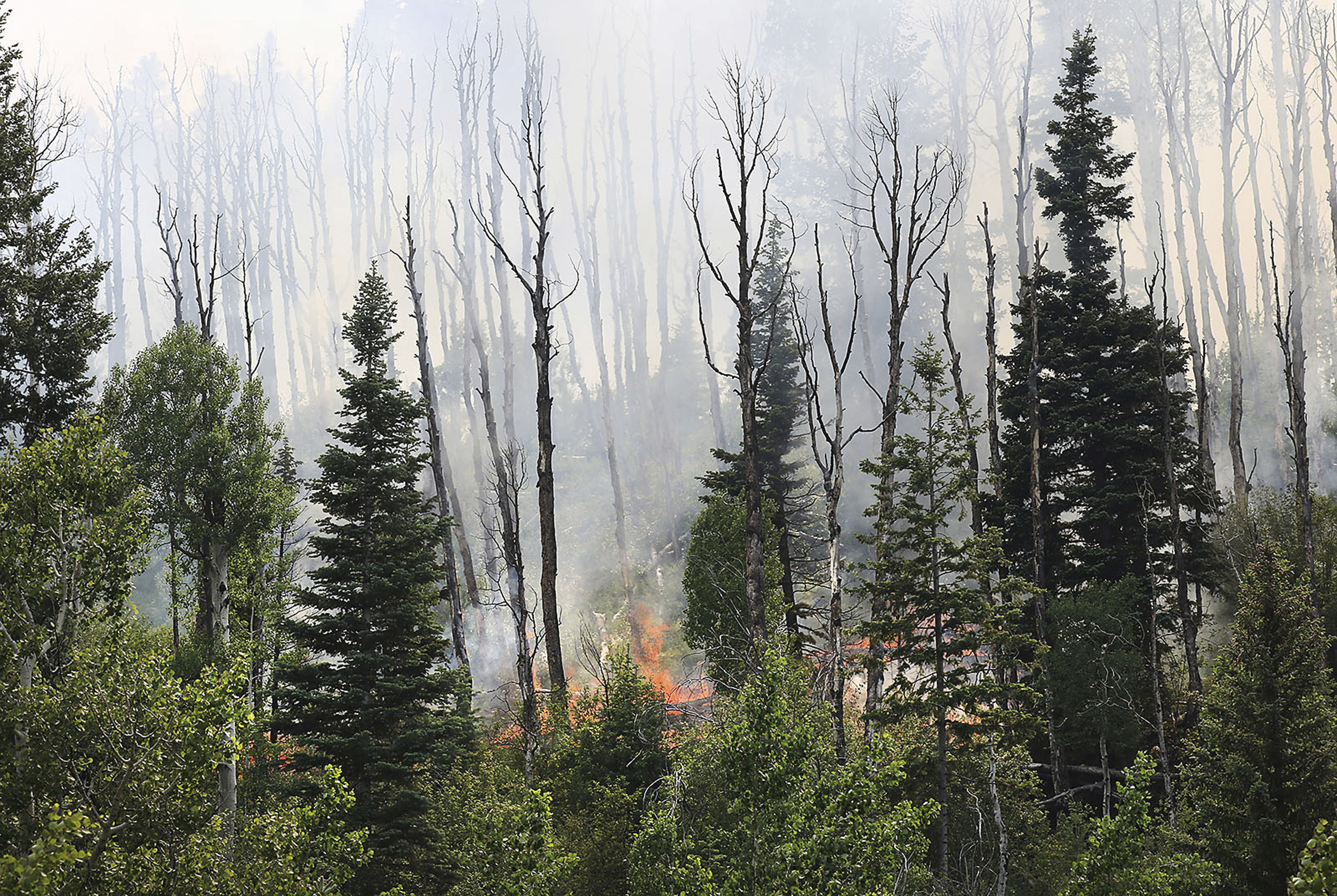 The Latest: More evacuations ordered at Colorado wildfire