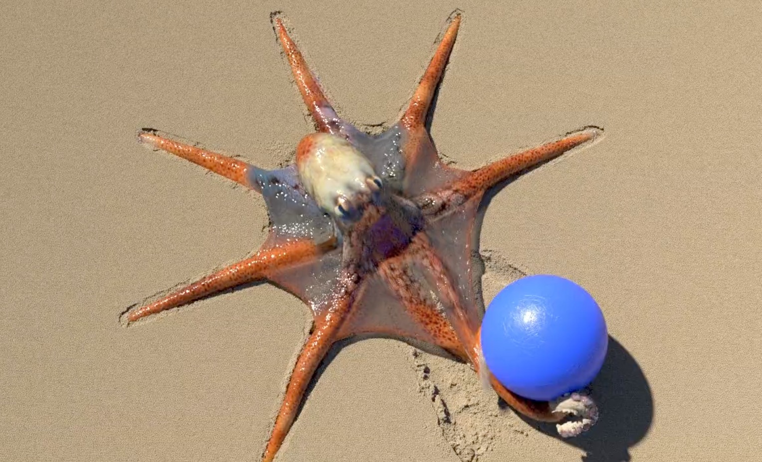 Have You Seen This? Your eyes are lying — this octopus is not real