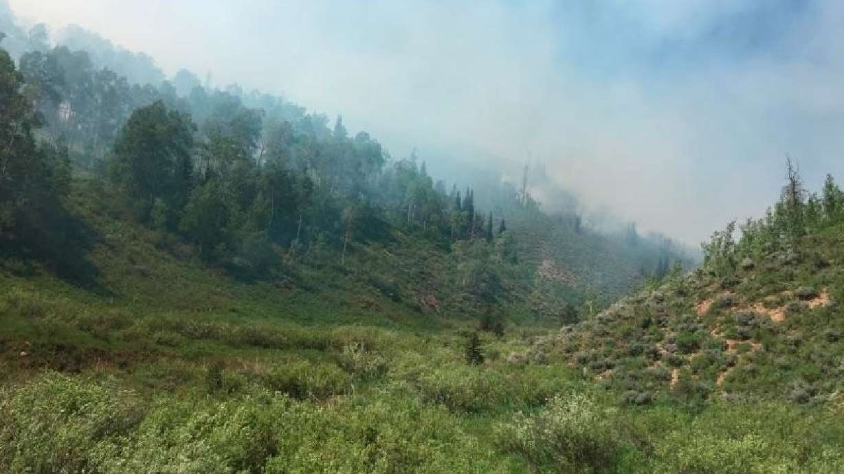 ICYMI: 10 stories from the weekend