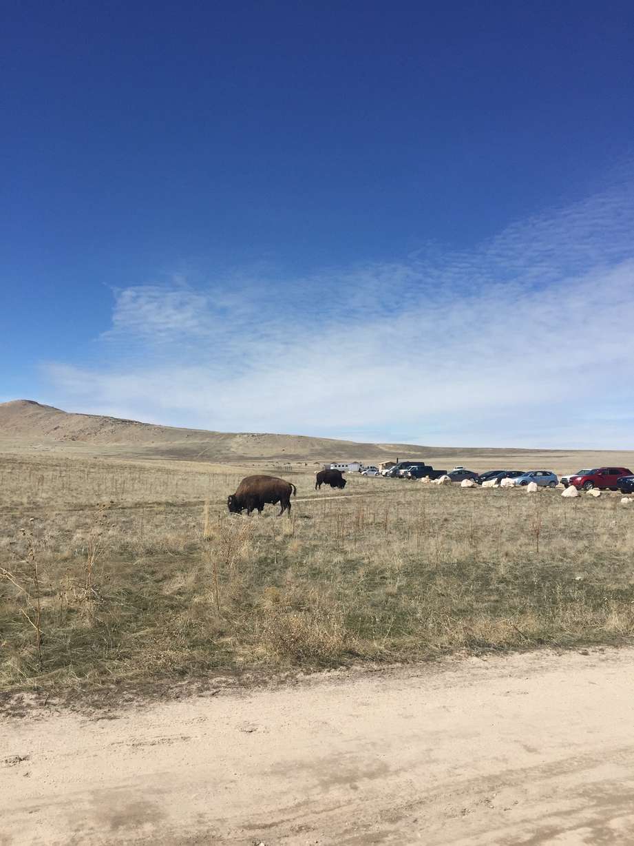 (Photo: Jacob Klopfenstein, KSL.com)