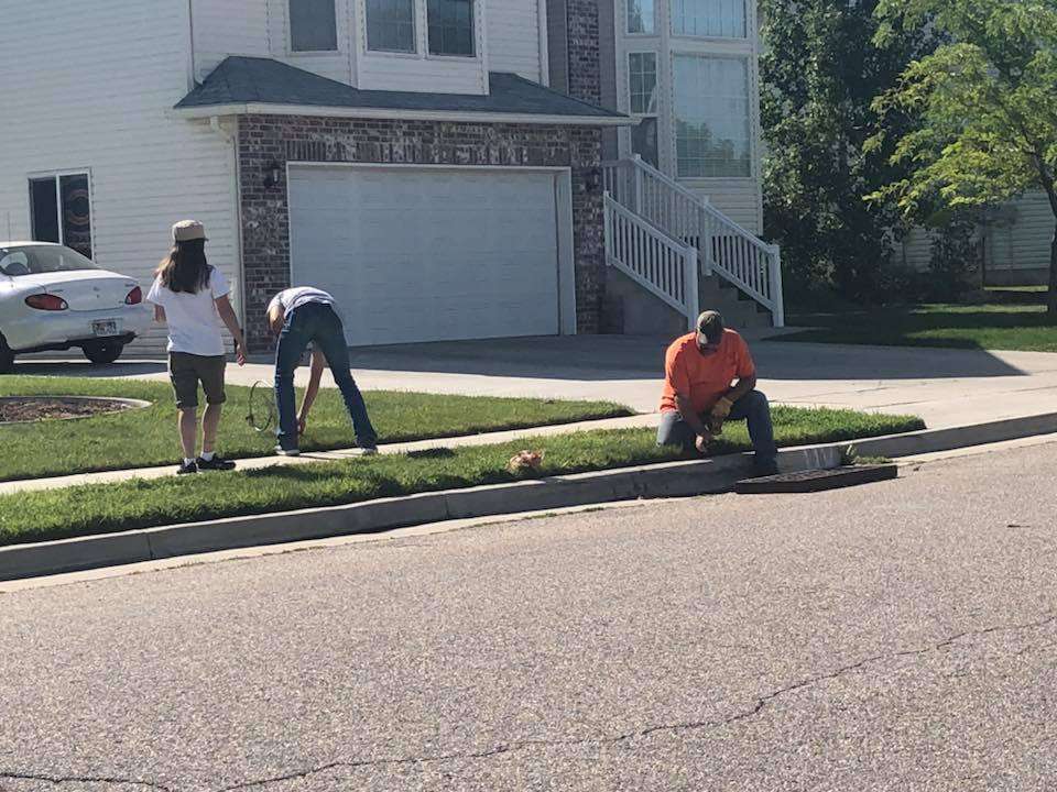Make Your Week: Nice people are still rescuing ducks around Utah