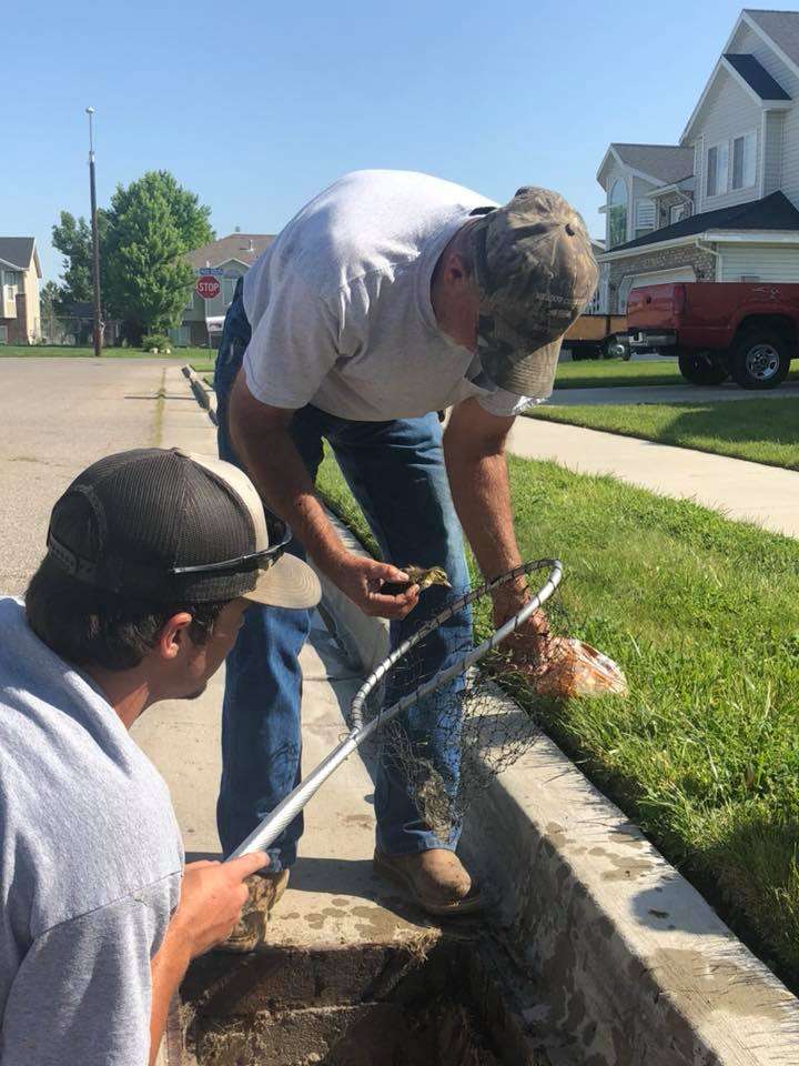 Make Your Week: Nice people are still rescuing ducks around Utah
