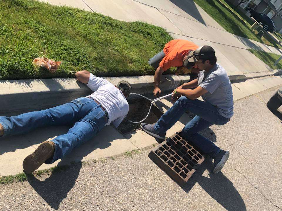 Make Your Week: Nice people are still rescuing ducks around Utah