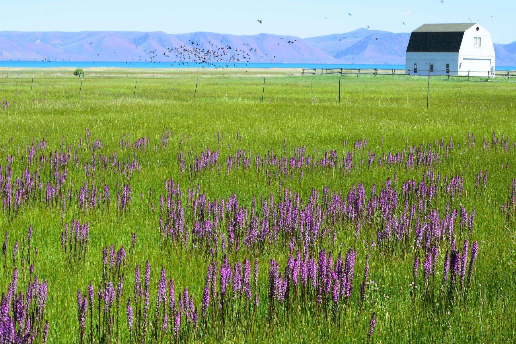 User submitted: Utahns' photos are as bright as the weather