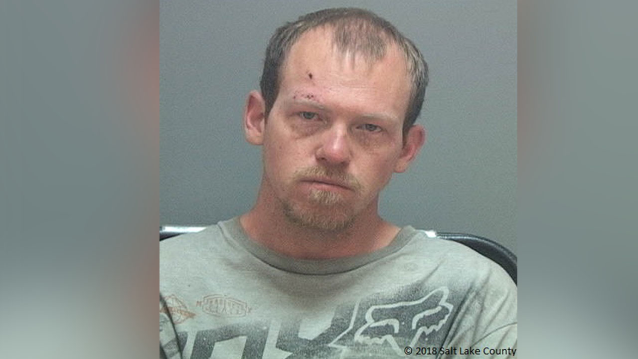 Man rams police car, drinks beer, ignores cops, charges state