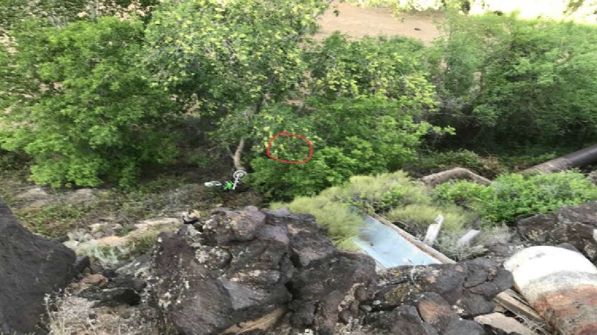 Raspberry bushes spare rider's life when motorcycle plunges off cliff