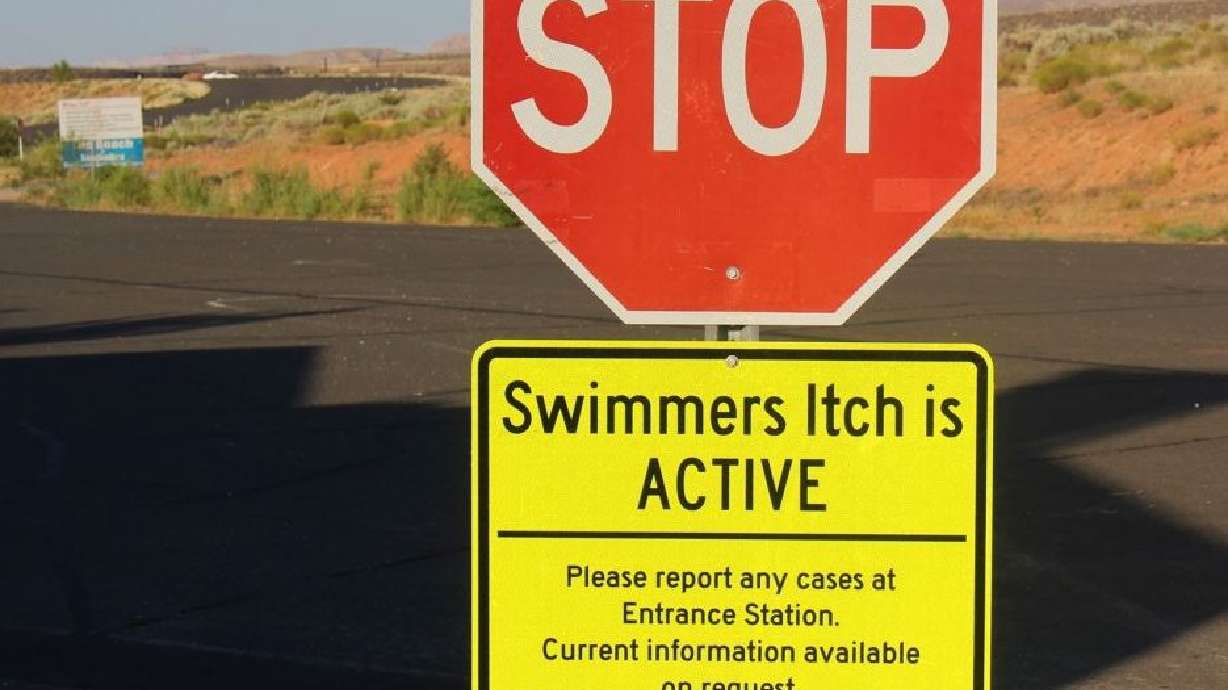 Petition started to rid Sand Hollow of swimmer’s itch, but can it be done?