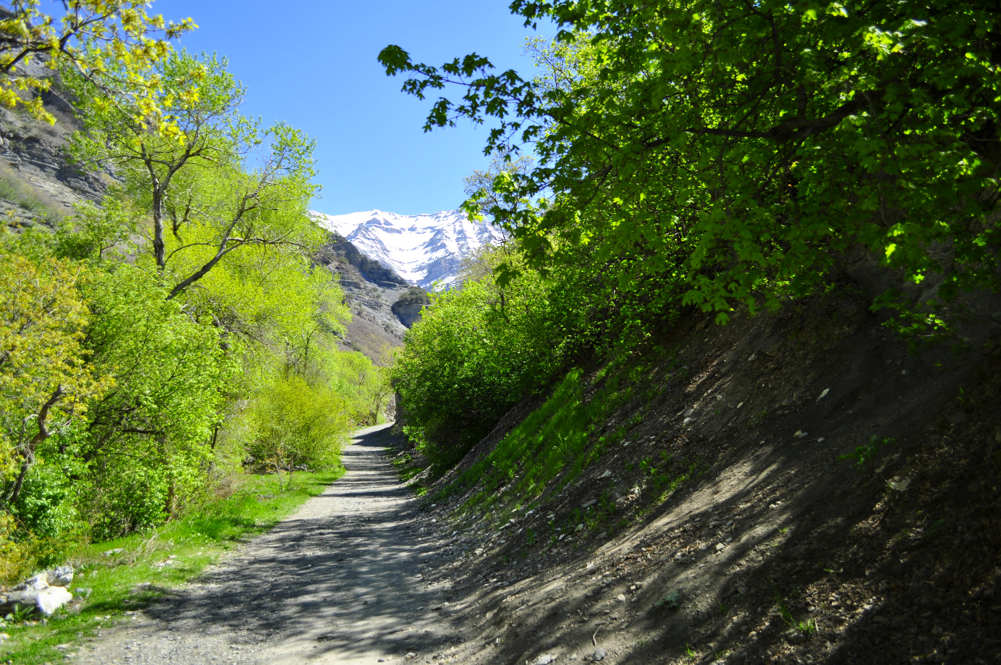 (Photo: Adam Provance, www.yourhikeguide.com)