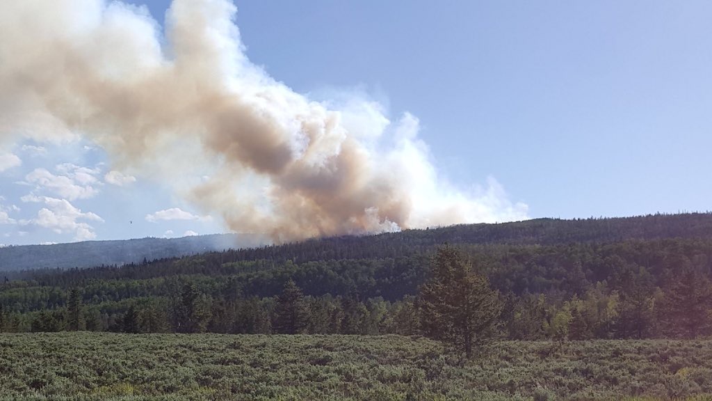 65-acre wildfire in Summit County 5 percent contained
