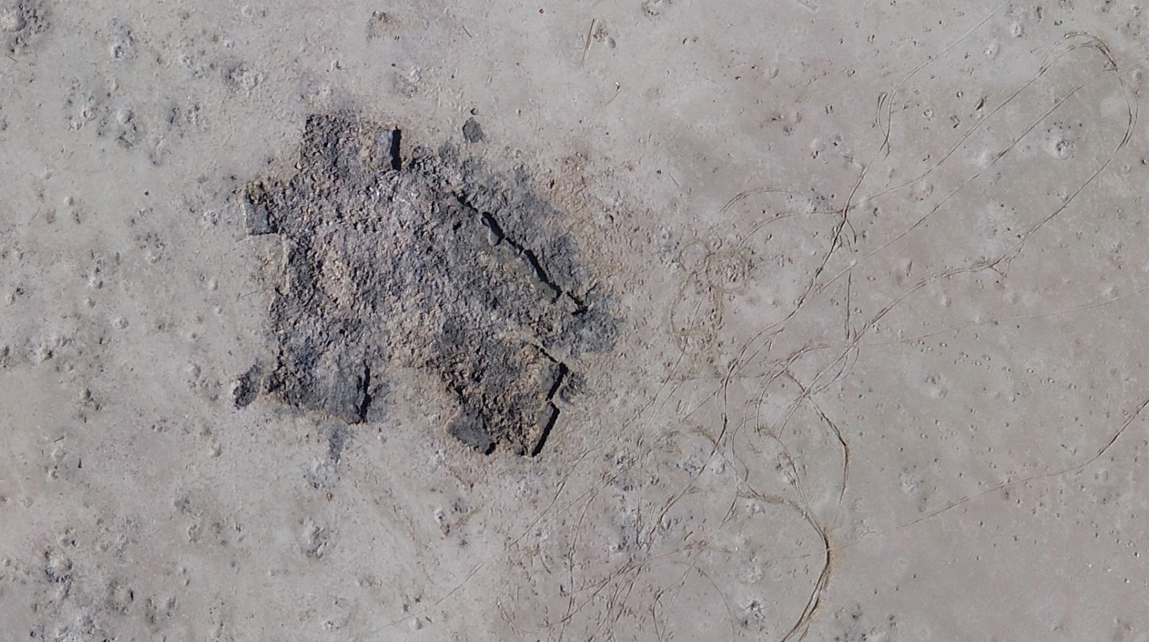 An aerial photo of one of the holes believed to be dug by looters at the historic Saltair location on the shores of the Great Salt Lake. State historians are trying to remind the public digging in those locations, including with metal detectors, is illegal. (Photo: Utah State History)