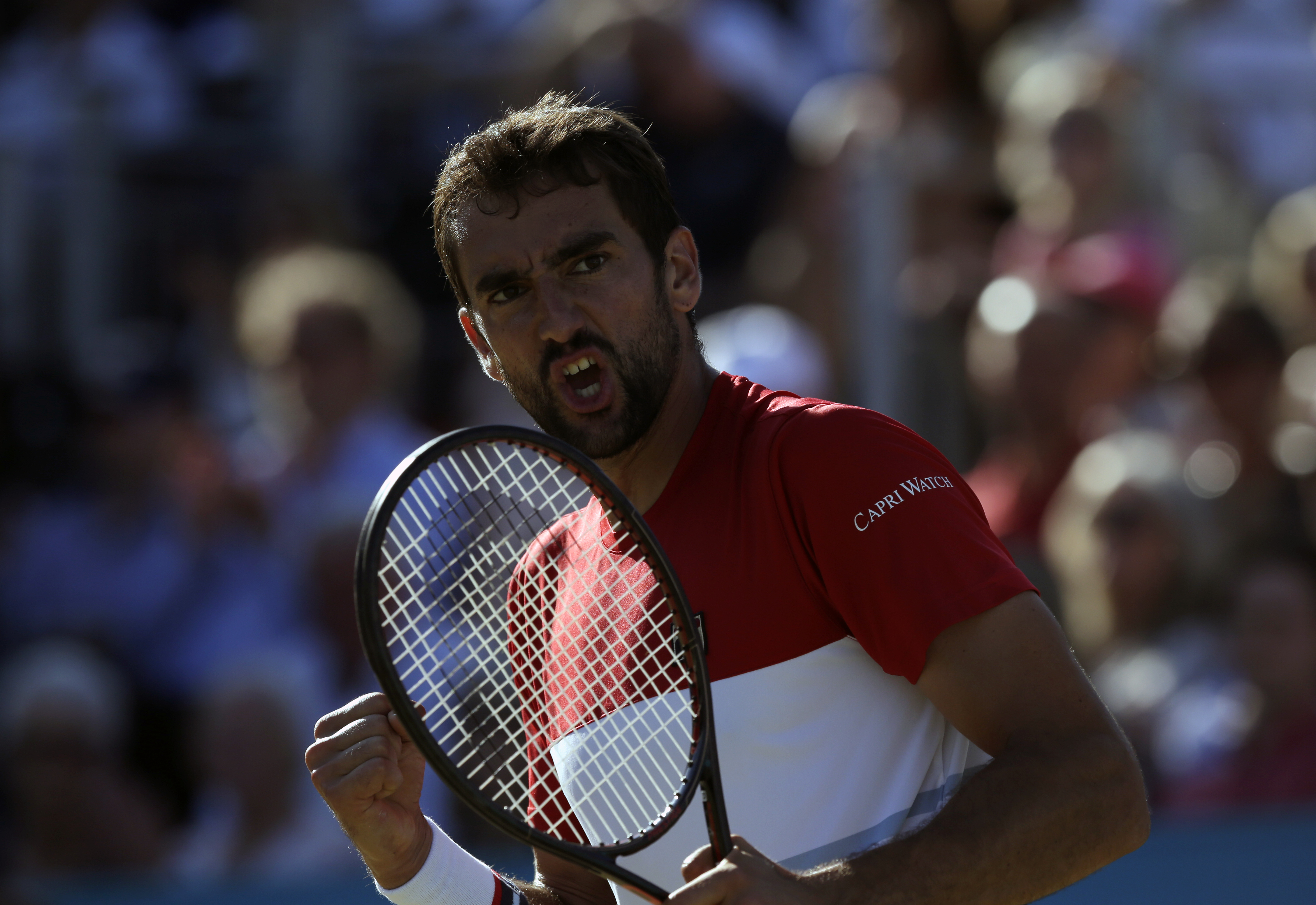 Cilic targets grass-court double after winning Queen's Club