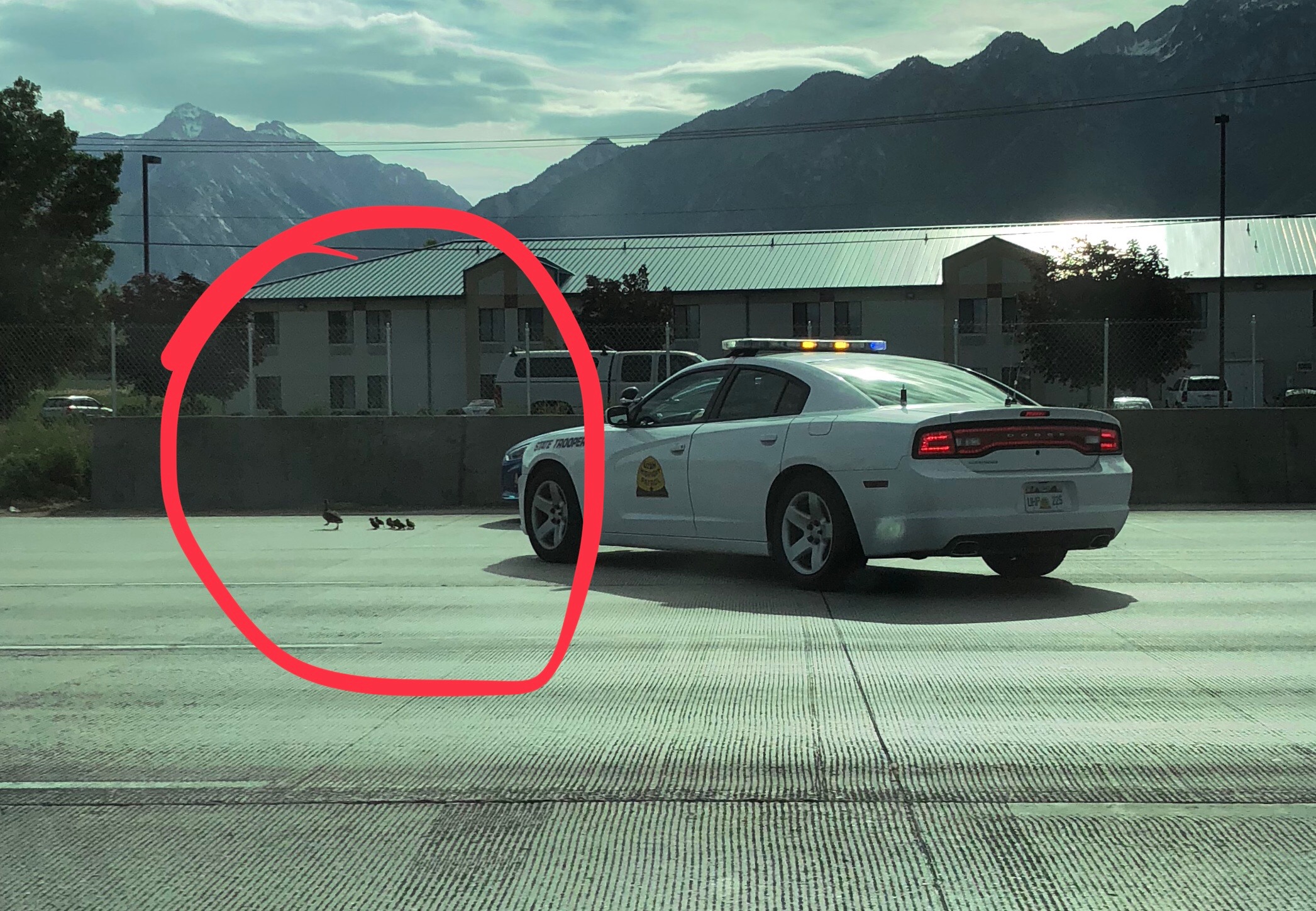 Make Your Week: Trail Mountain firefighters receive surprise thanks from community