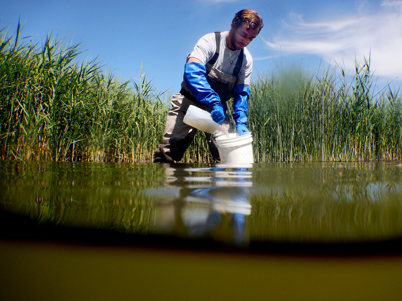 Trevor Gruwell, water quality technician with the Utah Department of Environmental Quality’s Division of Water Quality, collects water samples from Utah Lake in Spanish Fork on Wednesday, June 6, 2018. (Photo: Laura Seitz, KSL)