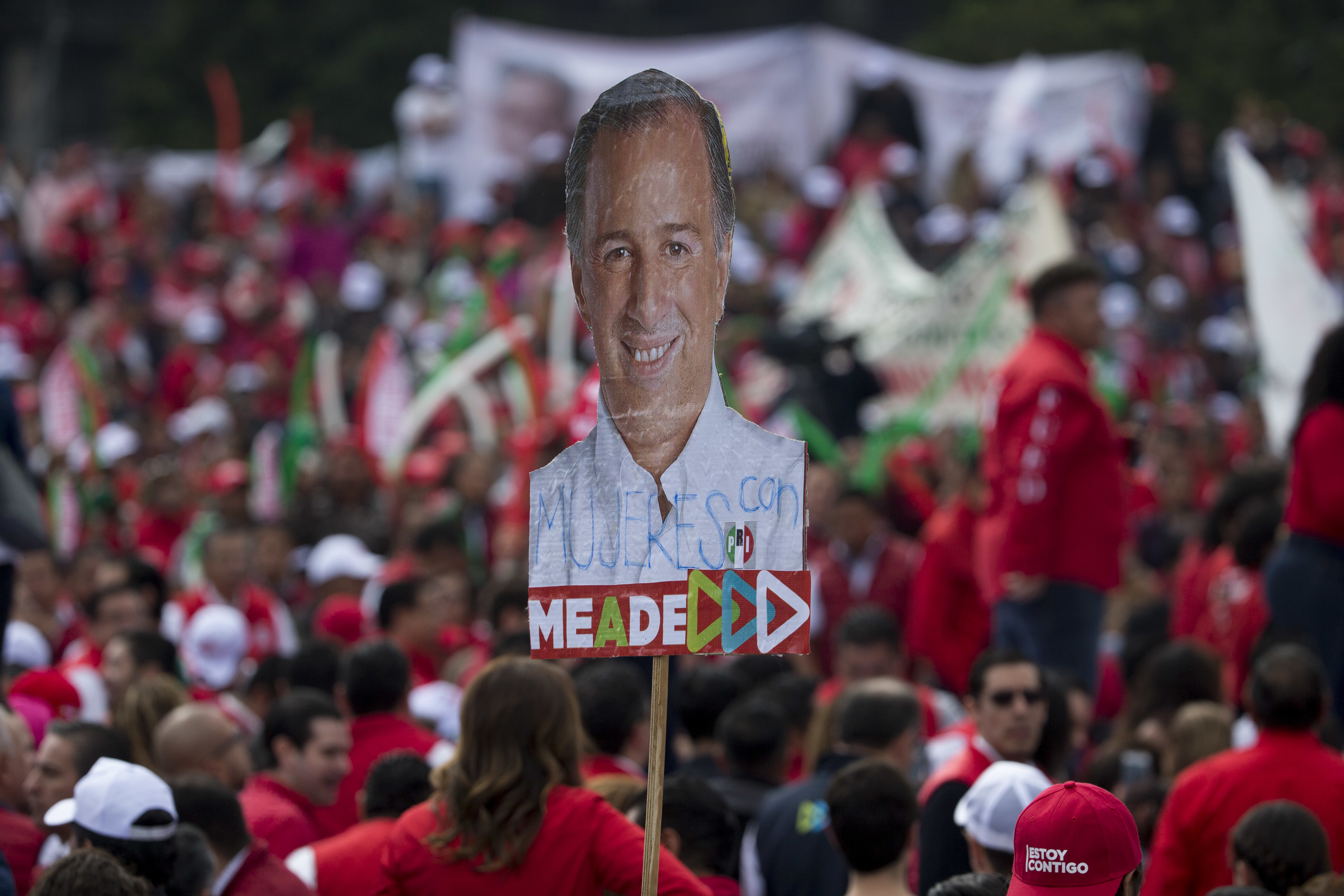 Ruling party's Meade banking on upset in Mexico election