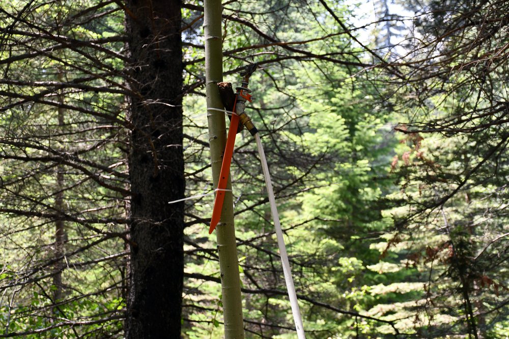 Sprinkers attached to a tree near where headstones of those who died in the Crandall Canyon Mine collapse are located in Emery County. (Photo: Emery County Sheriff's Office)