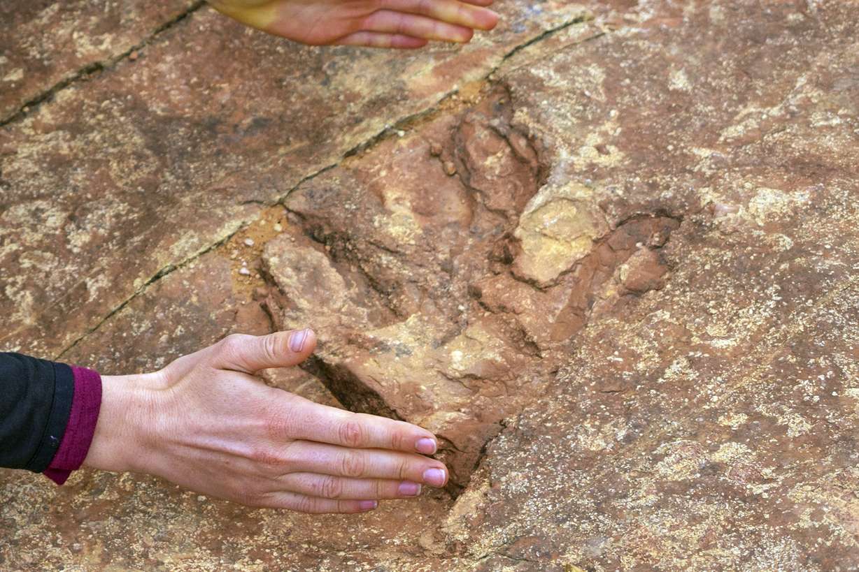 This undated photo provided by the Utah Division of Parks and Recreation shows visitors examining dinosaur tracks at the Red Fleet State Park. The site, lined with hundreds of prehistoric raptor tracks, has been heavily damaged in the past year. Visitors have been dislodging dinosaur tracks imprinted in sandstone and throwing the pieces into a nearby lake, officials said. (Utah Division of Parks and Recreation via AP)
