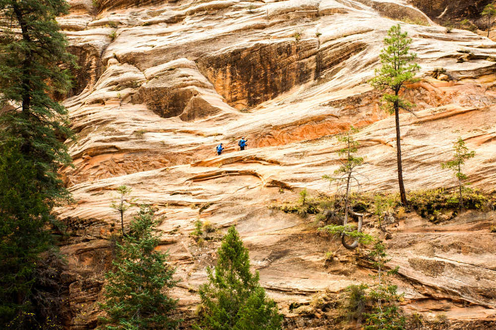 Zion National Park trail remains closed after 2nd rock fall