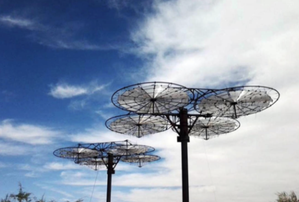 Companies in Utah solar fraud case filing for bankruptcy