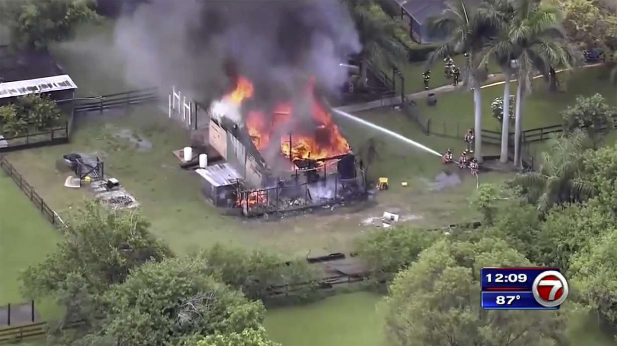 300 tortoises, hatchlings, fish killed in Florida barn fire