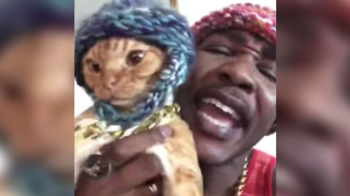 Have You Seen This? Raps about cats will be your new favorite thing