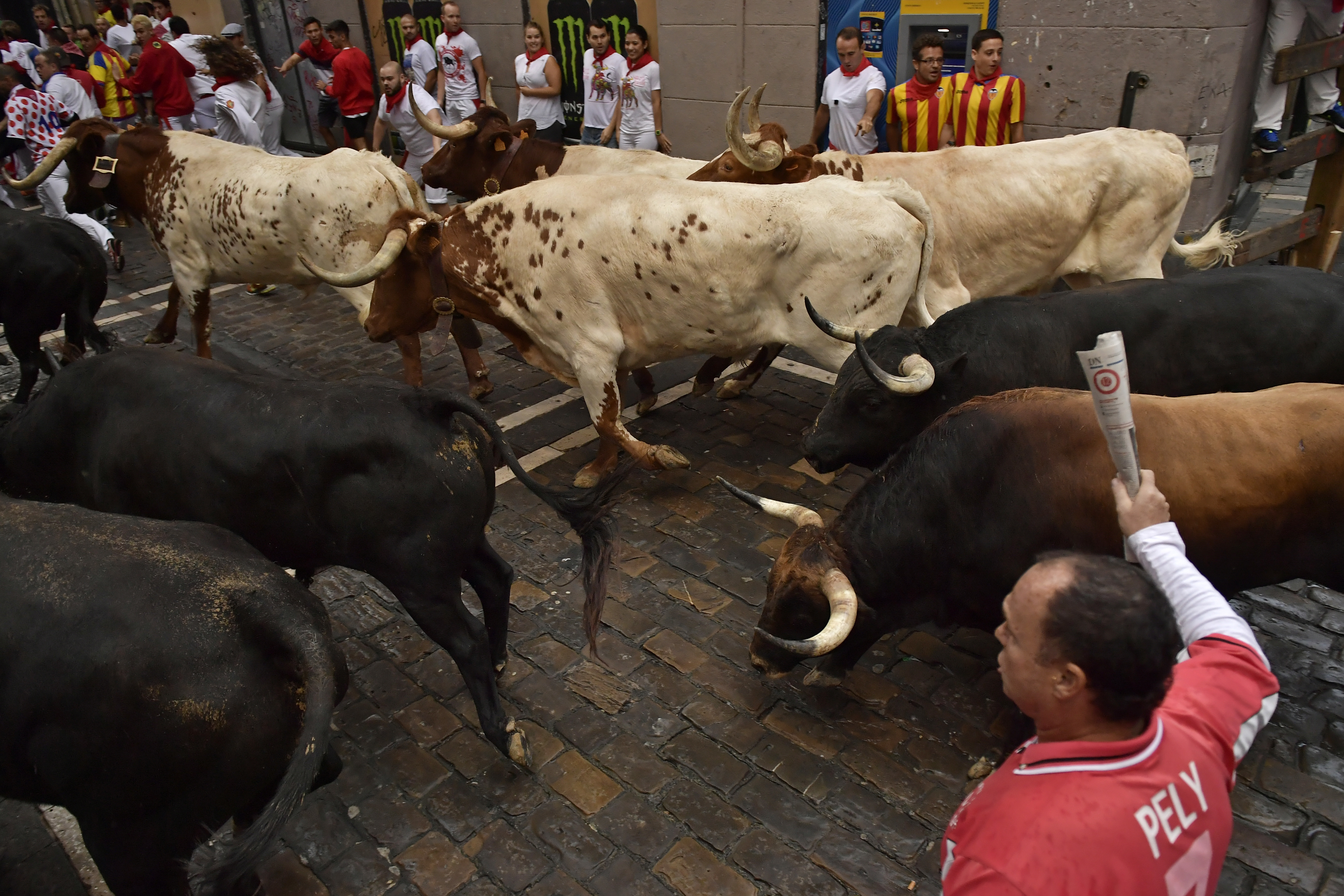 2 injured running with bulls in the streets of Pamplona
