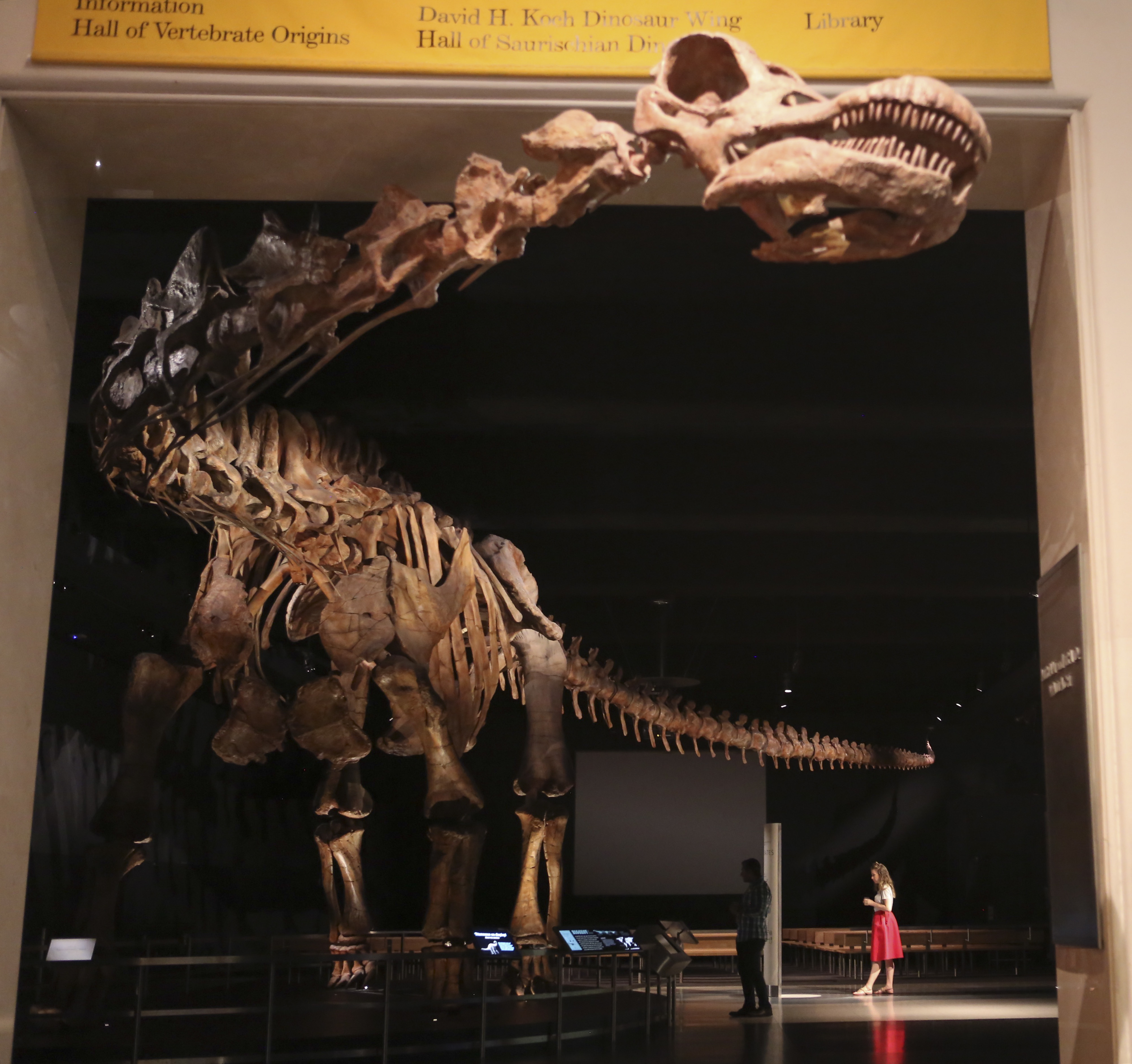 TravelLab: Adults take over science museums when night falls