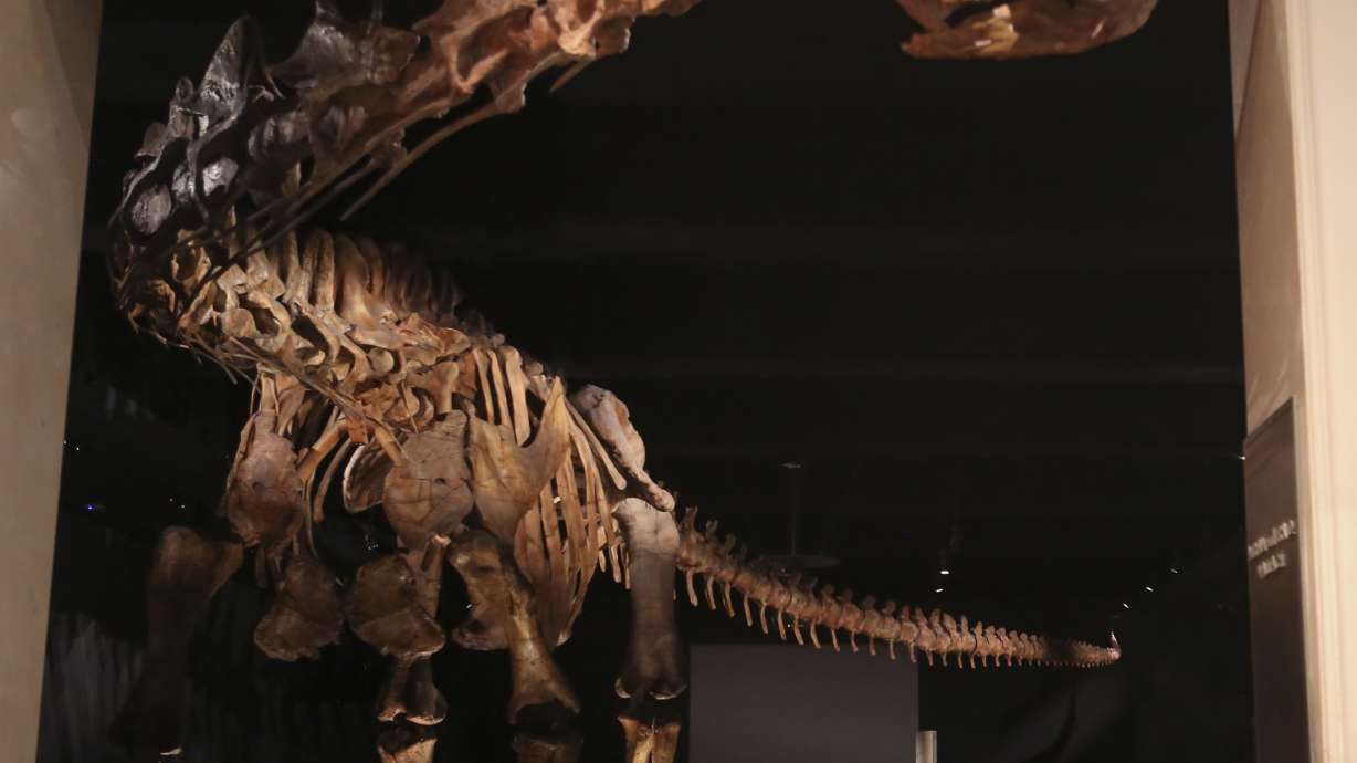 TravelLab: Adults take over science museums when night falls