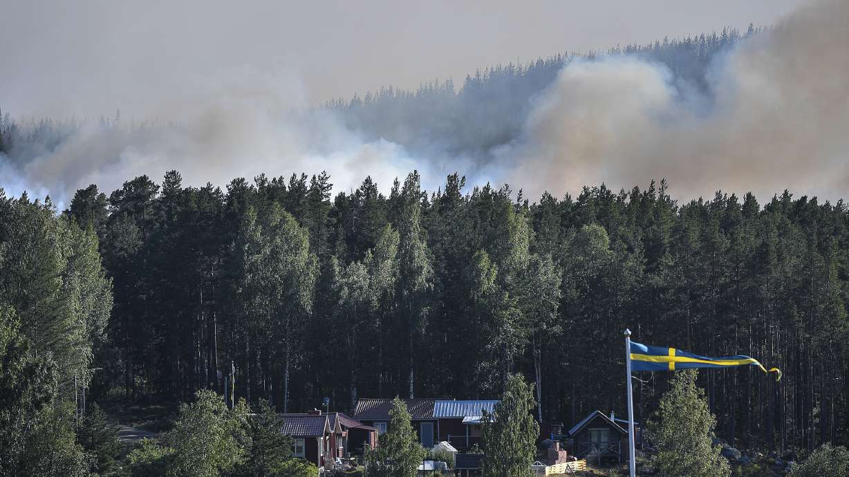 Dozens of wildfires rage in Sweden amid Nordic heat wave