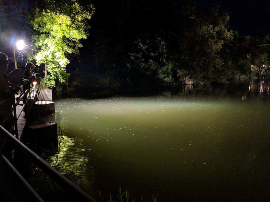 Crews searched for Juanito Augustin at the St. Anthony Sandbar. (Photo: Courtesy Michial Randall)