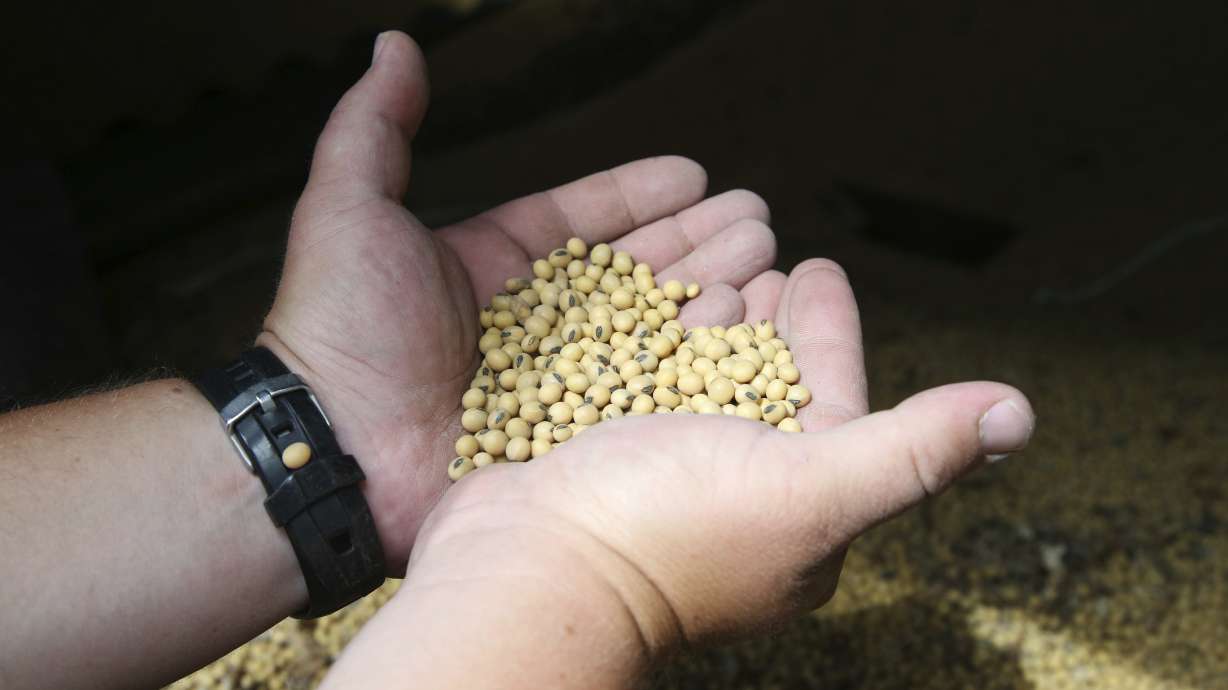 Farmers fret and wait as US-China trade war escalates