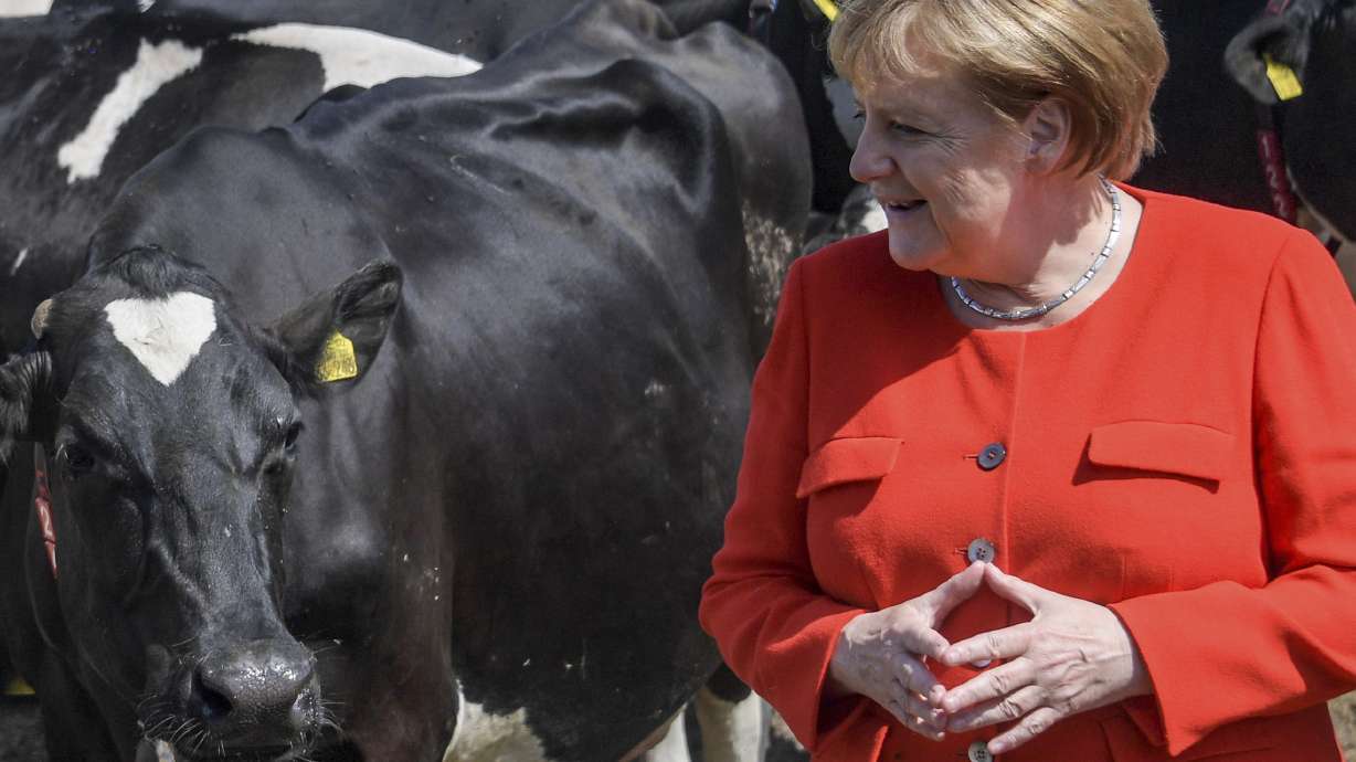 Merkel: German govt is solid despite fight over migration