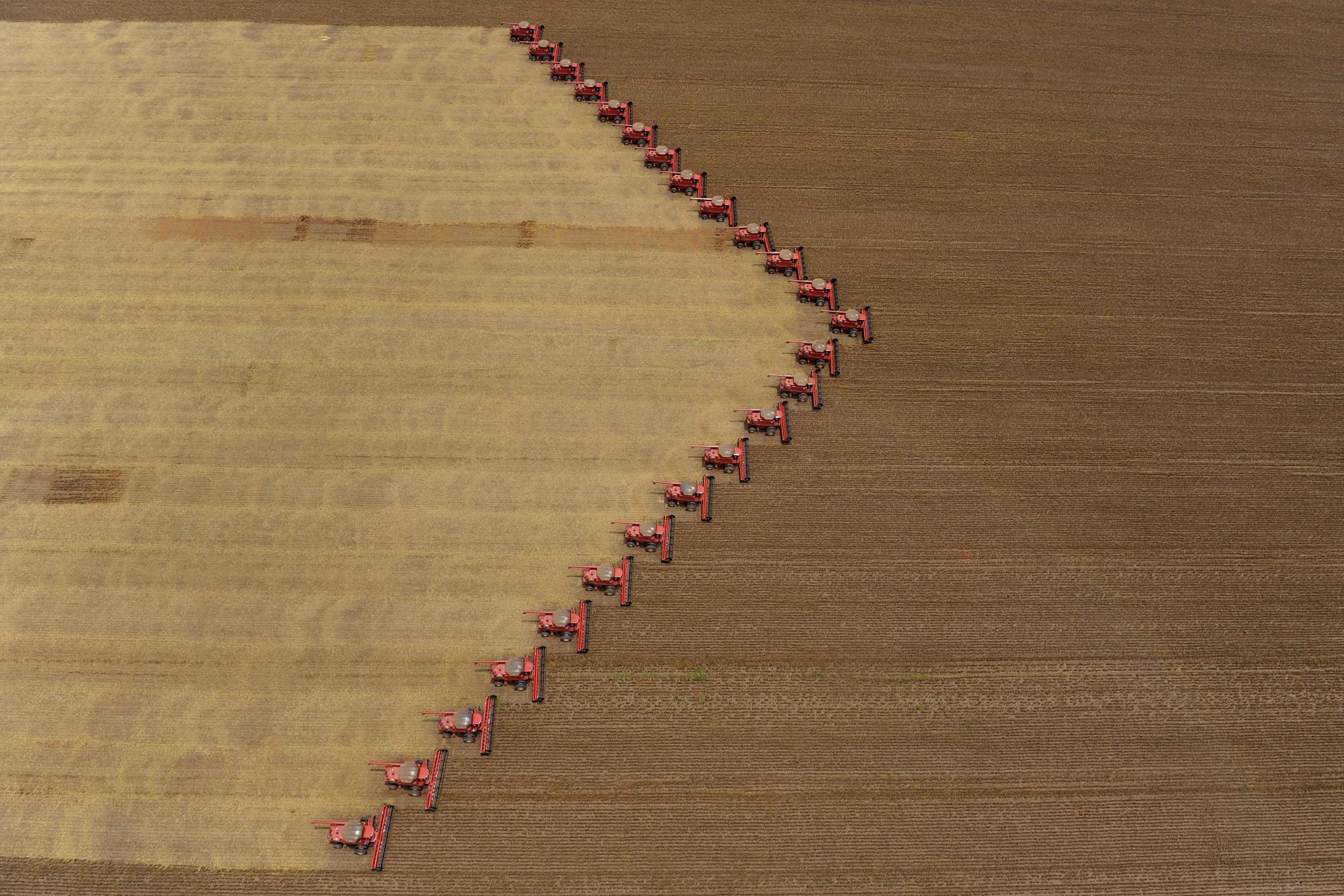 Human Rights Watch urges Brazil to regulate pesticides more