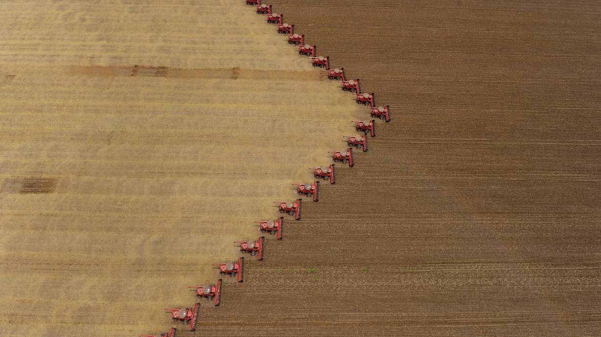 Human Rights Watch urges Brazil to regulate pesticides more