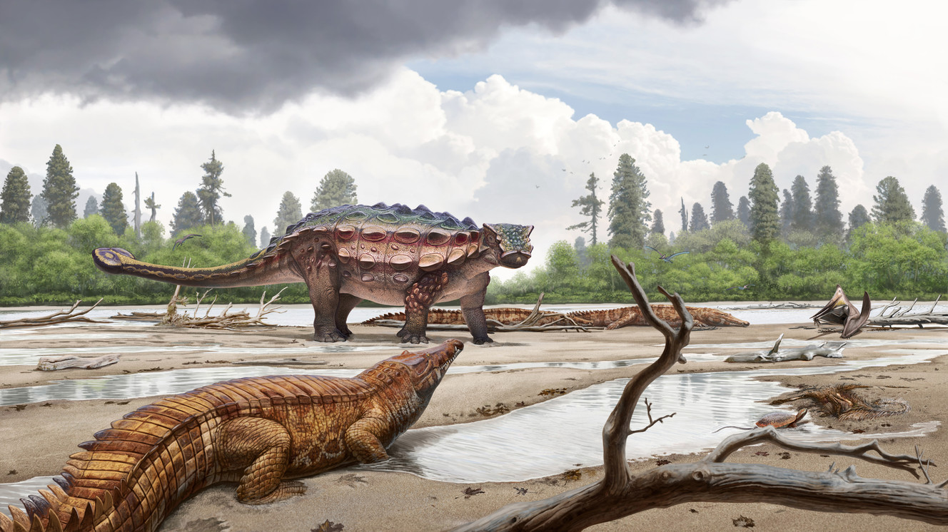 New bony, spiky species of dinosaur found in Utah