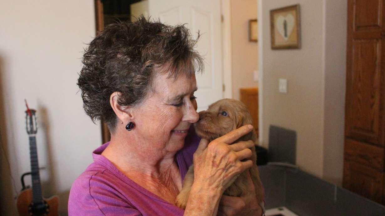 Partnerships of love: How a St. George service dog charity is changing lives