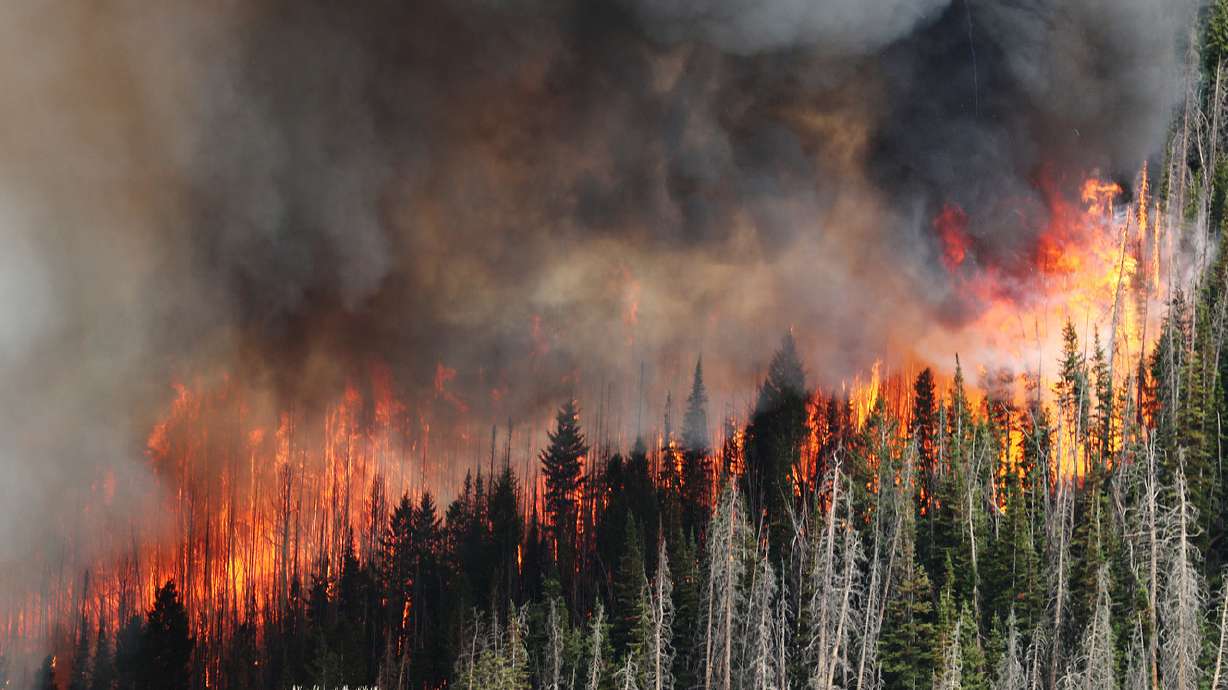 Utah's 2018 wildfire season among the worst as estimated firefighting bill tops $47 million