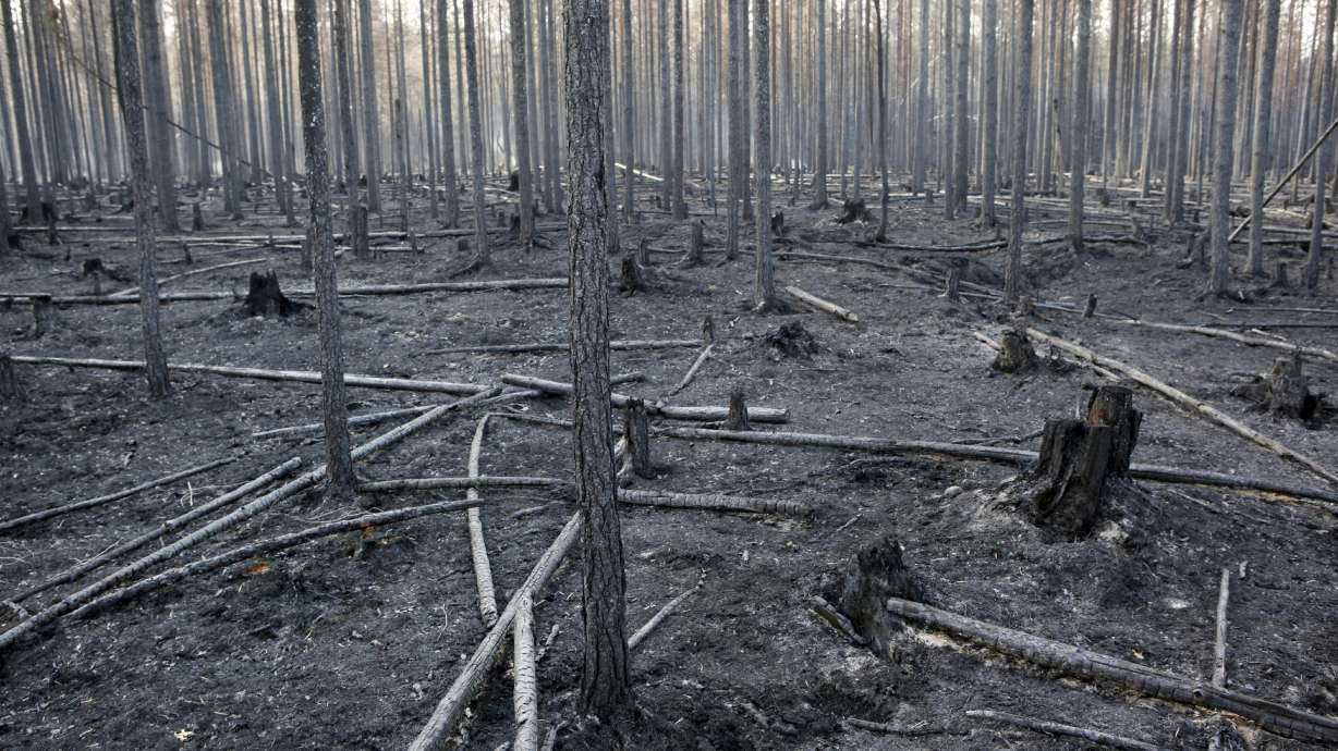 Sweden says wildfires remain serious threat