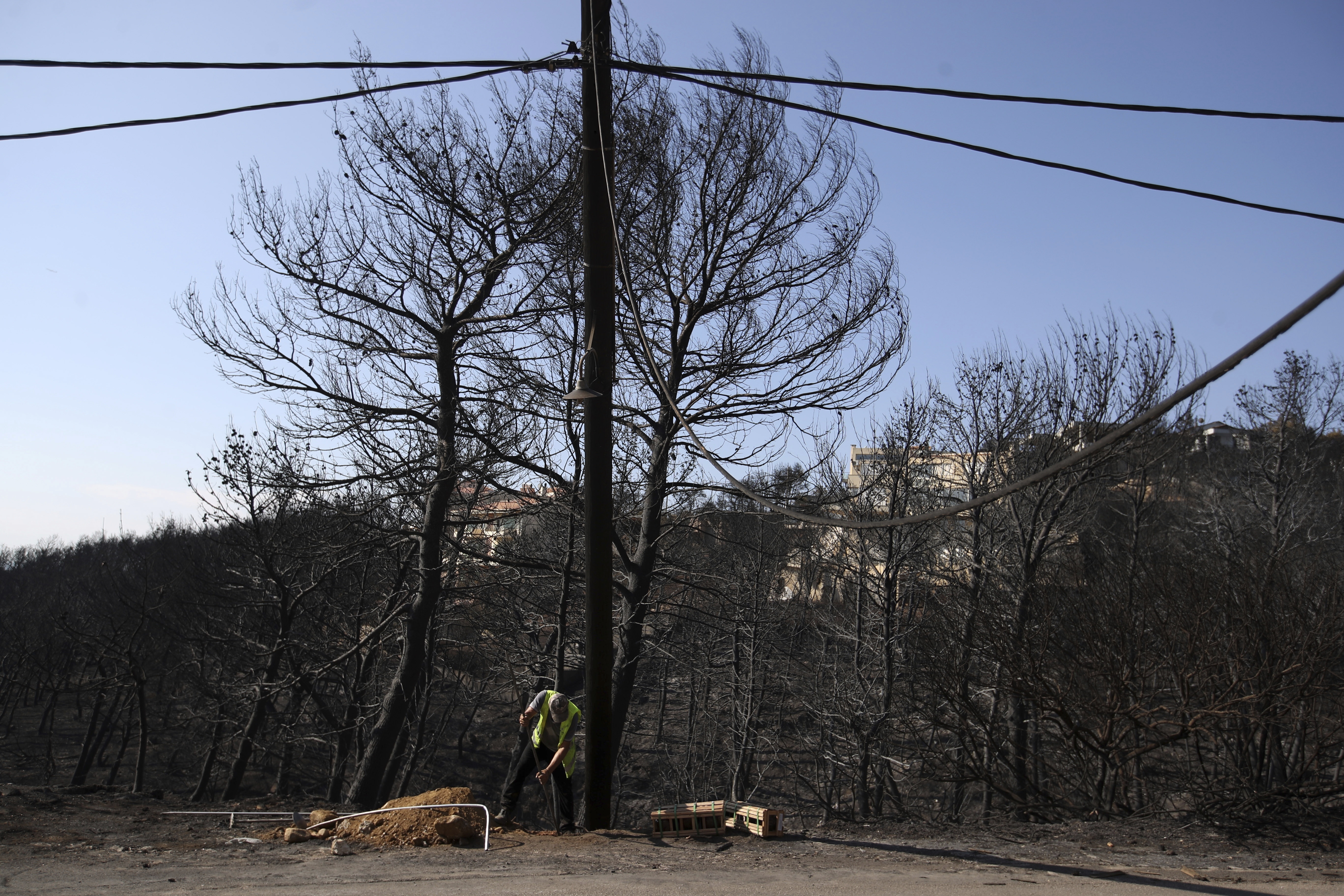 Pets rescued after Greece's devastating fire find new homes