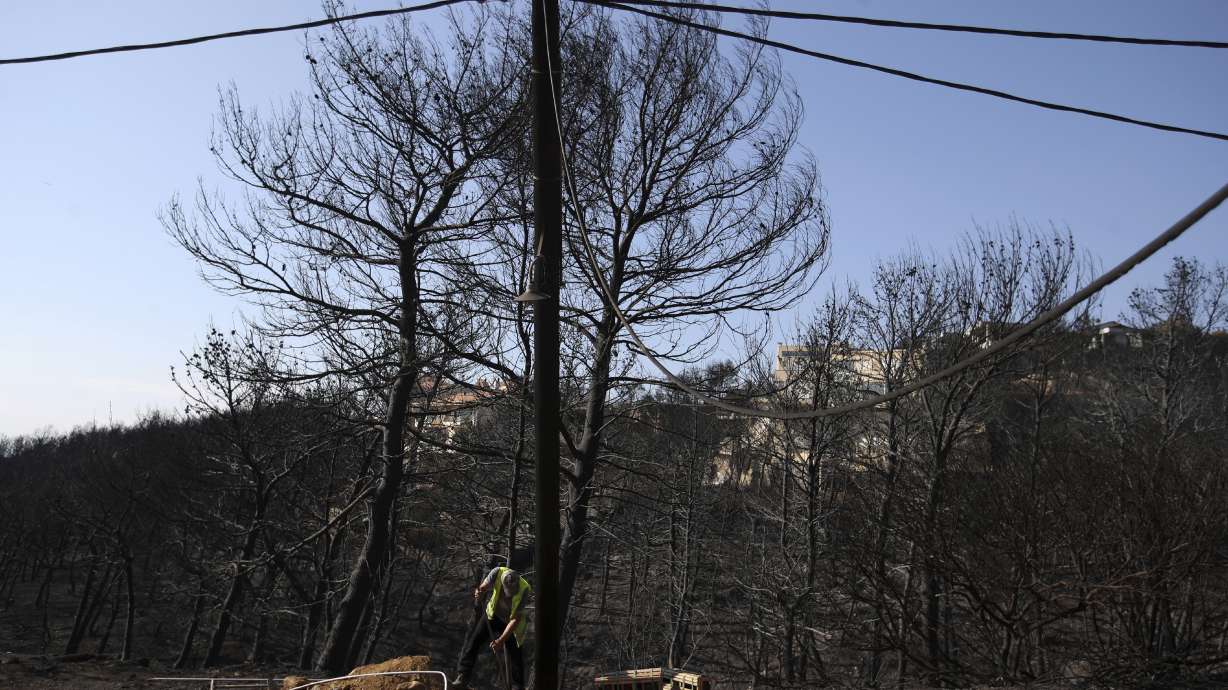 Pets rescued after Greece's devastating fire find new homes
