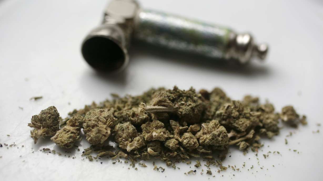 Michigan Democrats hope pot measure brings out youth vote