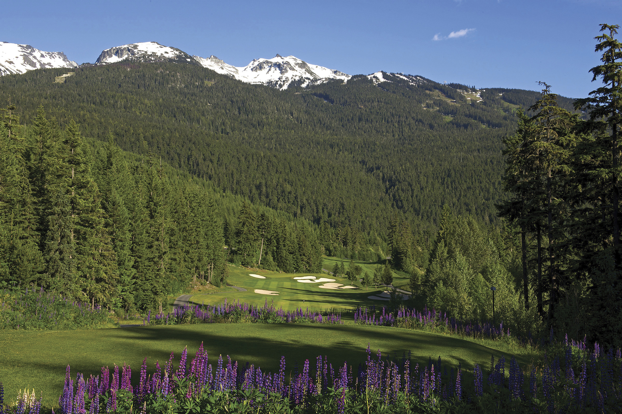 Whistler developing a reputation as a golf destination